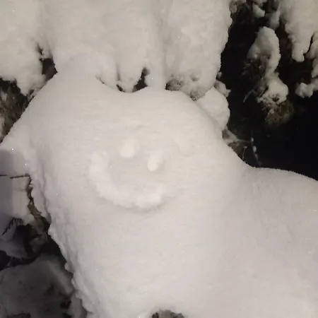 度假居 Vikendica Savic Tkm