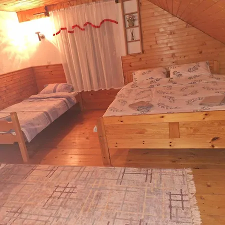 Vikendica Savic Tkm * 帕莱