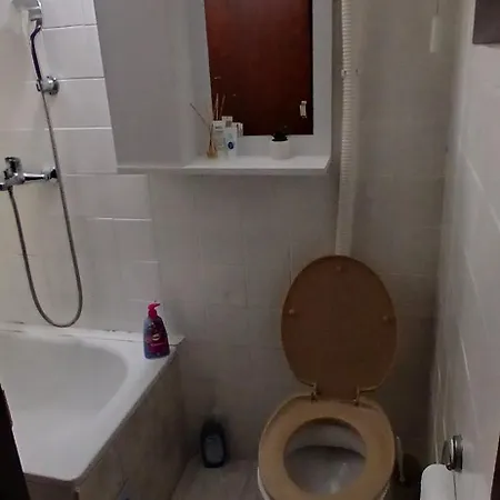 度假居 Vikendica Savic Tkm 帕莱