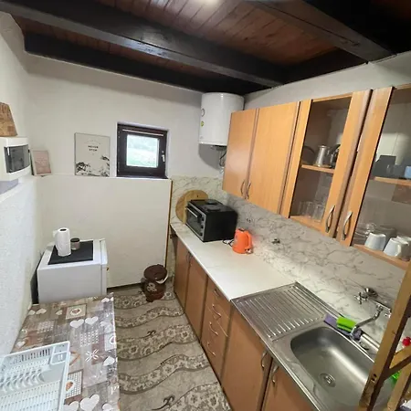 Vikendica Savic Tkm *